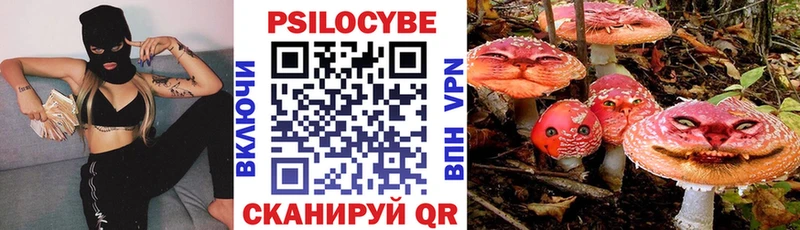 Галлюциногенные грибы прущие грибы  Купить где  Михайловск 